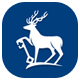University of Surrey